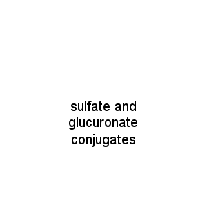 sulfate and glucuronate conjugates